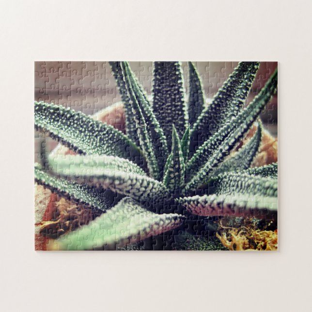 Quebra-cabeça Abandono De Famílias Suculentes Que Relaxam A Auto (Horizontal)