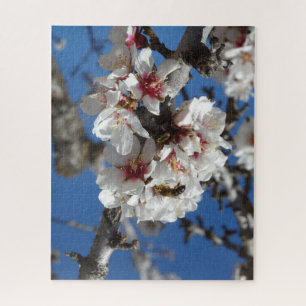 Quebra-cabeça Abelha no Duro do Almond Blossom 520 Count