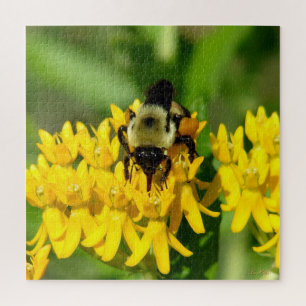 Quebra-cabeça Abelha se alimentando de flores silvestres Asclepi