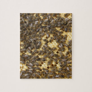 Quebra-cabeça Abelhas do mel em toda parte