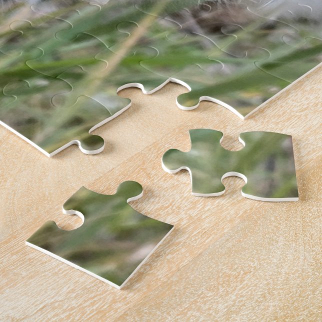 Quebra-cabeça Abra Milkweed Pods | Sementes de Seda | (Lateral)