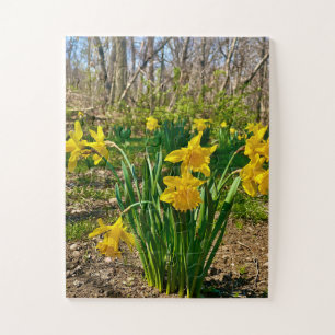 Quebra-cabeça Abraço Dourado Flor de Narciso na Primavera