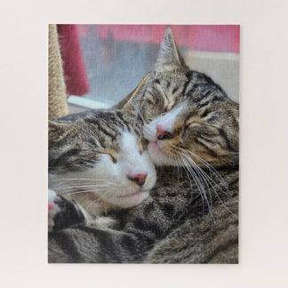 Quebra-cabeça Abraços de gatinho!