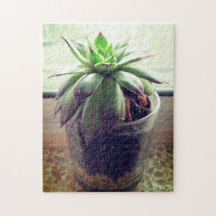 Quebra-cabeça Absorvente Jardinagem Interior Relaxando Autoatend