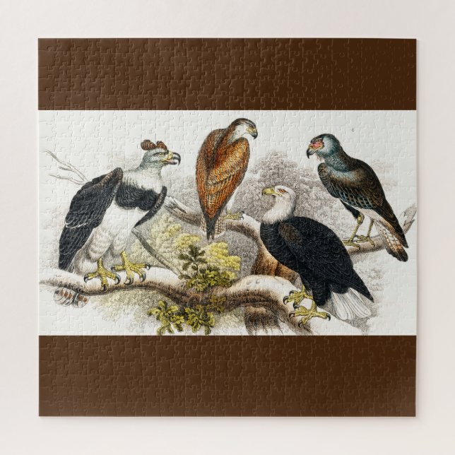 Quebra-cabeça abutre (Vertical)