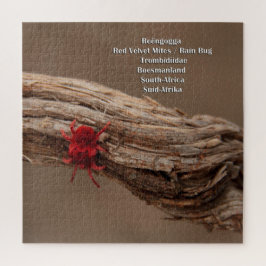 Quebra-cabeça Ácaros de veludo/inseto vermelhos da chuva