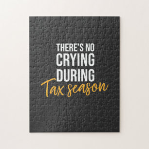 Quebra-cabeça Accountant In Tax Season