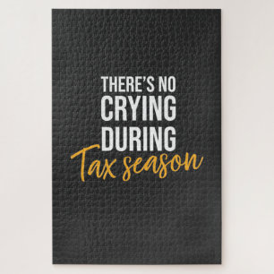 Quebra-cabeça Accountant In Tax Season
