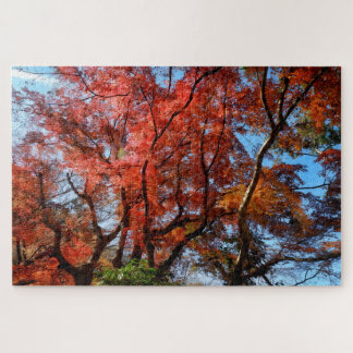 Quebra-cabeça Acer Palmatum