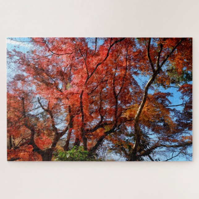 Quebra-cabeça Acer Palmatum (Horizontal)