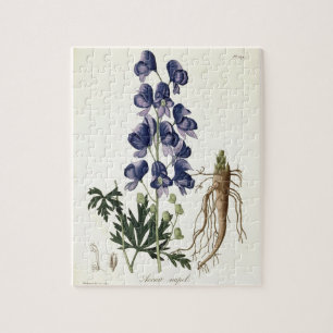Quebra-cabeça Aconitum Napellus de "Phytographie Medicale" perto