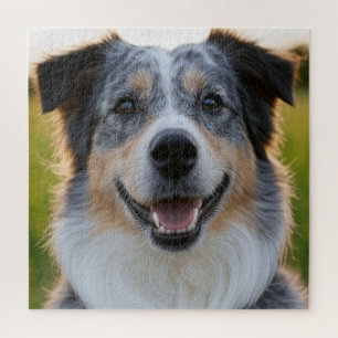 Quebra-cabeça Adicionar Foto de Animal Personalizar