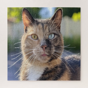 Quebra-cabeça Adicionar Personalização de Foto de Cat