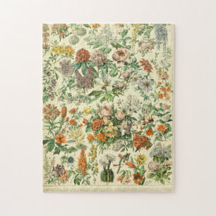 Quebra-cabeça Adolphe Millot Fleurs C