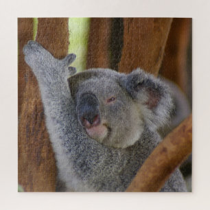 Quebra-cabeça Adorable Koala Bear