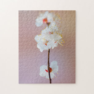 Quebra-cabeça Adoráveis Flores de Ume Japonês na Primavera