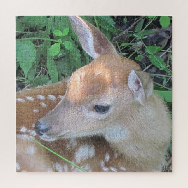 Quebra-cabeça Adorável Fawn (Vertical)