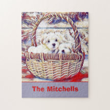 Adorável Puppy Lover Maltês