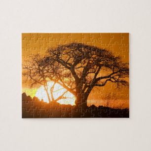 Quebra-cabeça África, Botsuana, Sol poente silhueta Baobab