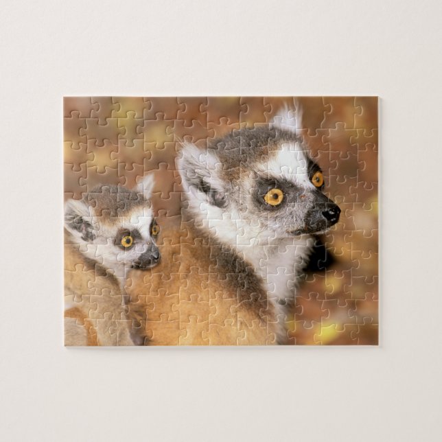 Quebra-cabeça África, Madagáscar, Reserva Privada de Berília. (Horizontal)