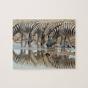 Quebra-cabeça África, Namíbia, Parque Nacional Etosha. Zebra-de-