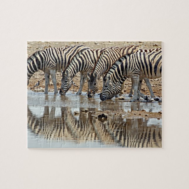 Quebra-cabeça África, Namíbia, Parque Nacional Etosha. Zebra-de- (Horizontal)