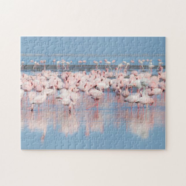 Quebra-cabeça África, Namíbia, Walvis Bay (Horizontal)