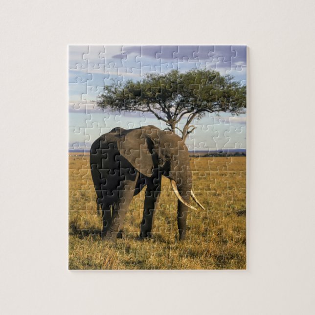 Quebra-cabeça África, Quênia, Maasai Mara. Um elefante no (Vertical)
