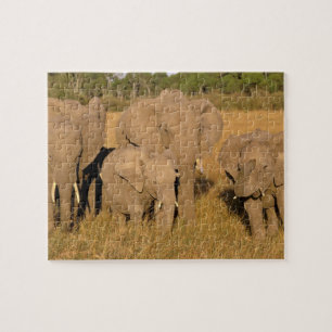 Quebra-cabeça África, Quênia, Masai Mara. Elefante-africano