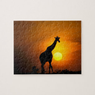 Quebra-cabeça África, Quênia, Masai Mara. Girafa (Giraffa