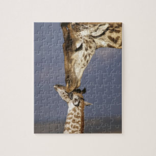 Quebra-cabeça África, Quênia, Masai Mara. Girafas (Giraffa