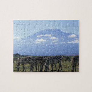 Quebra-cabeça África, Quênia, Parque Nacional de Amboseli, Manad