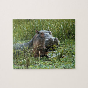 Quebra-cabeça África, Quênia, Reserva Nacional Masai Mara. Uma h
