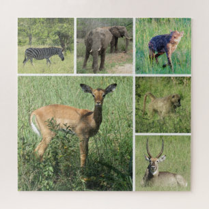 Quebra-cabeça áfrica safari