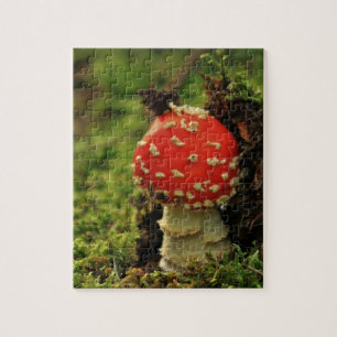 Quebra-cabeça Agaric de mosca