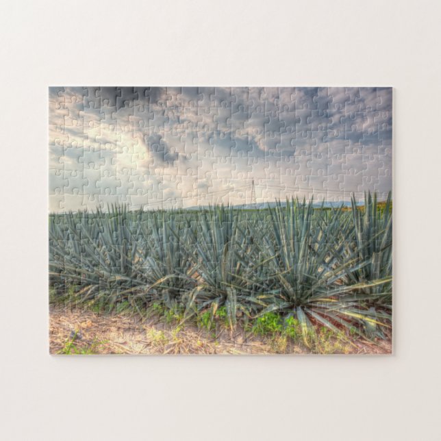 Quebra-cabeça Agave azul (Horizontal)