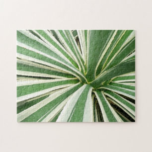 Quebra-cabeça Agave Plant Green e White Strike