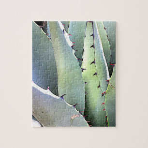 Quebra-cabeça Agave Succulent Plant Cactus Green Jigsaw Puzzle