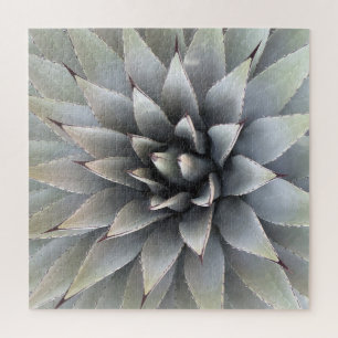 Quebra-cabeça Agave Succult Plant Cactus Green Sage