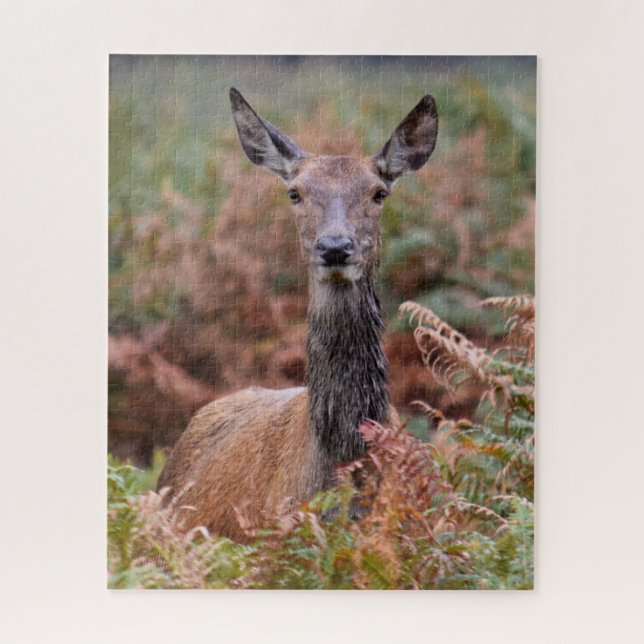 Quebra-cabeça Agora Você Tem Minha Atenção - 16x20 - 520 peças (Vertical)