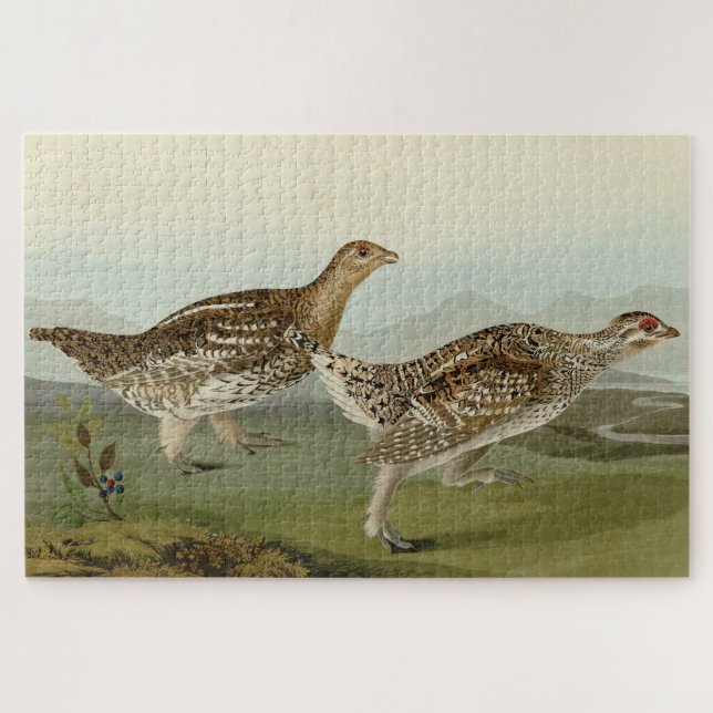 Quebra-cabeça Agrupamento de cauda-afiada - Aves da América de A (Horizontal)