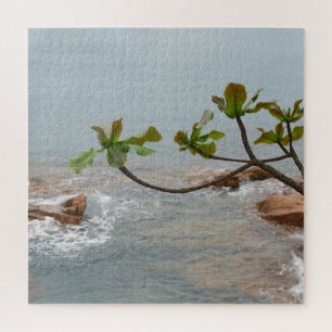 Quebra-cabeça água, romance, paisagem, plantas, cascata, ásia