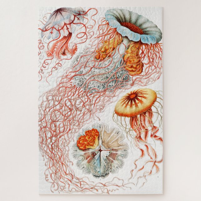 Quebra-cabeça Água-viva, Desconto de Ernst Haeckel (Vertical)