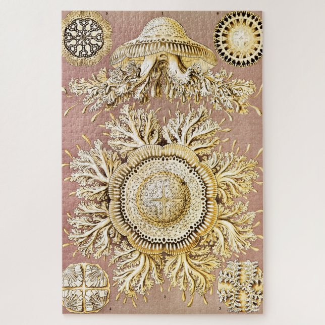 Quebra-cabeça Água-viva, Disco de Ernst Haeckel (Vertical)
