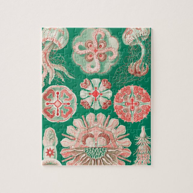 Quebra-cabeça Água-viva, Disco de Ernst Haeckel (Vertical)