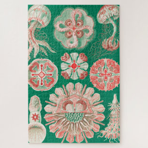 Quebra-cabeça Água-viva, Discomedusae por Ernst Haeckel