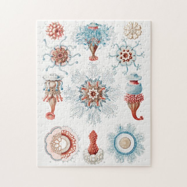 Quebra-cabeça Água-viva, Siphonophorae Staatsquallen Marine Life (Vertical)