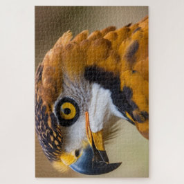 Quebra-cabeça Águia