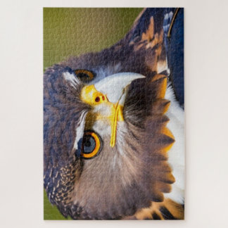 Quebra-cabeça Águia 2