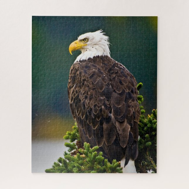 Quebra-cabeça Águia Americana Careca Empoleirada (Vertical)